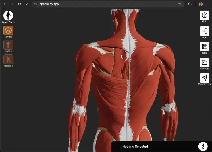 Learn Anatomy