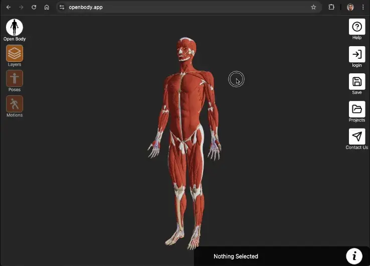 open body intro